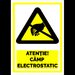 Semn pentru atentie camp electrostatic